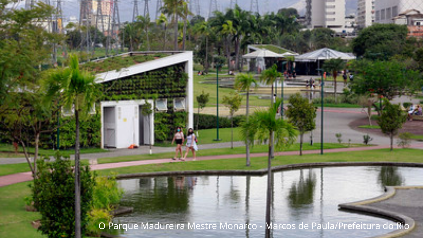 Municípios Brasileiros e o Labirinto para a Neutralidade Climática