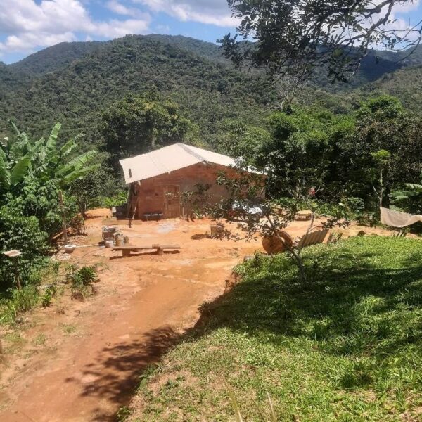 História Ambiental Negra: O Legado das Populações Afrodiaspóricas na Mata Atlântica e no Parque Estadual dos Três Picos